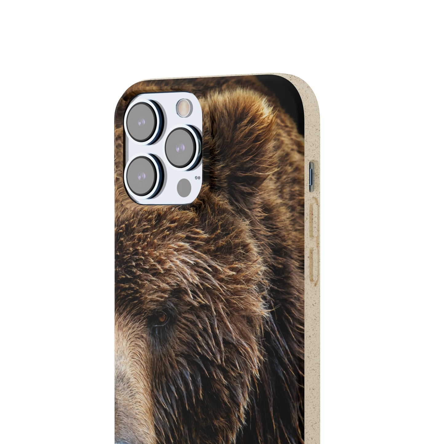 Brown Bear - Eco Case