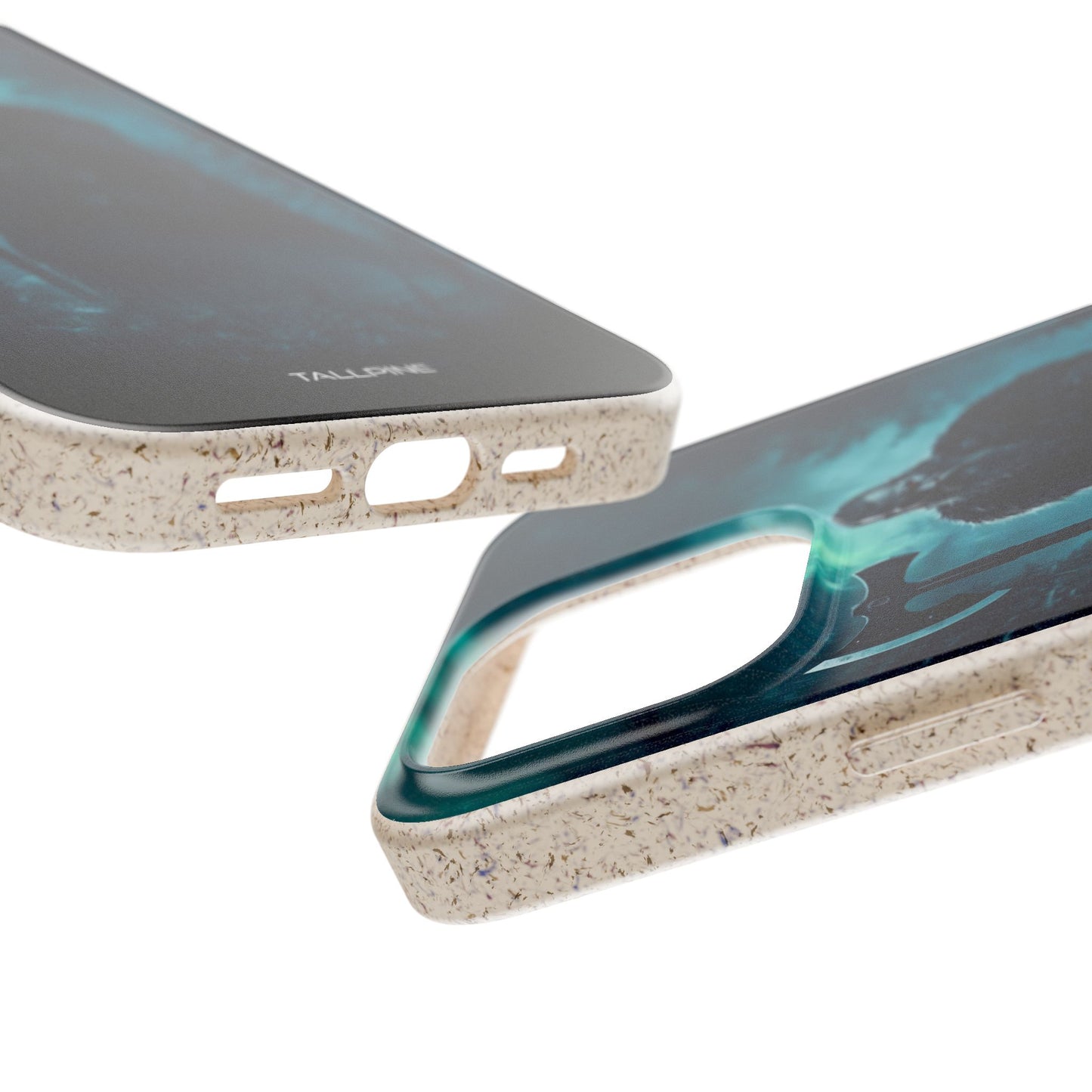 The Last Viking’s Haunt - Eco Case