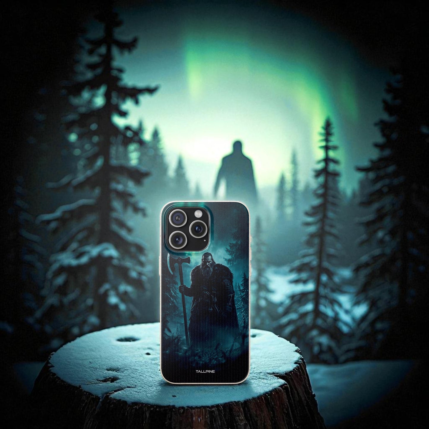 The Last Viking’s Haunt - Eco Case