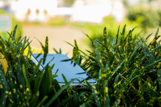 Eco-friendly phone case crafted from biodegradable material.