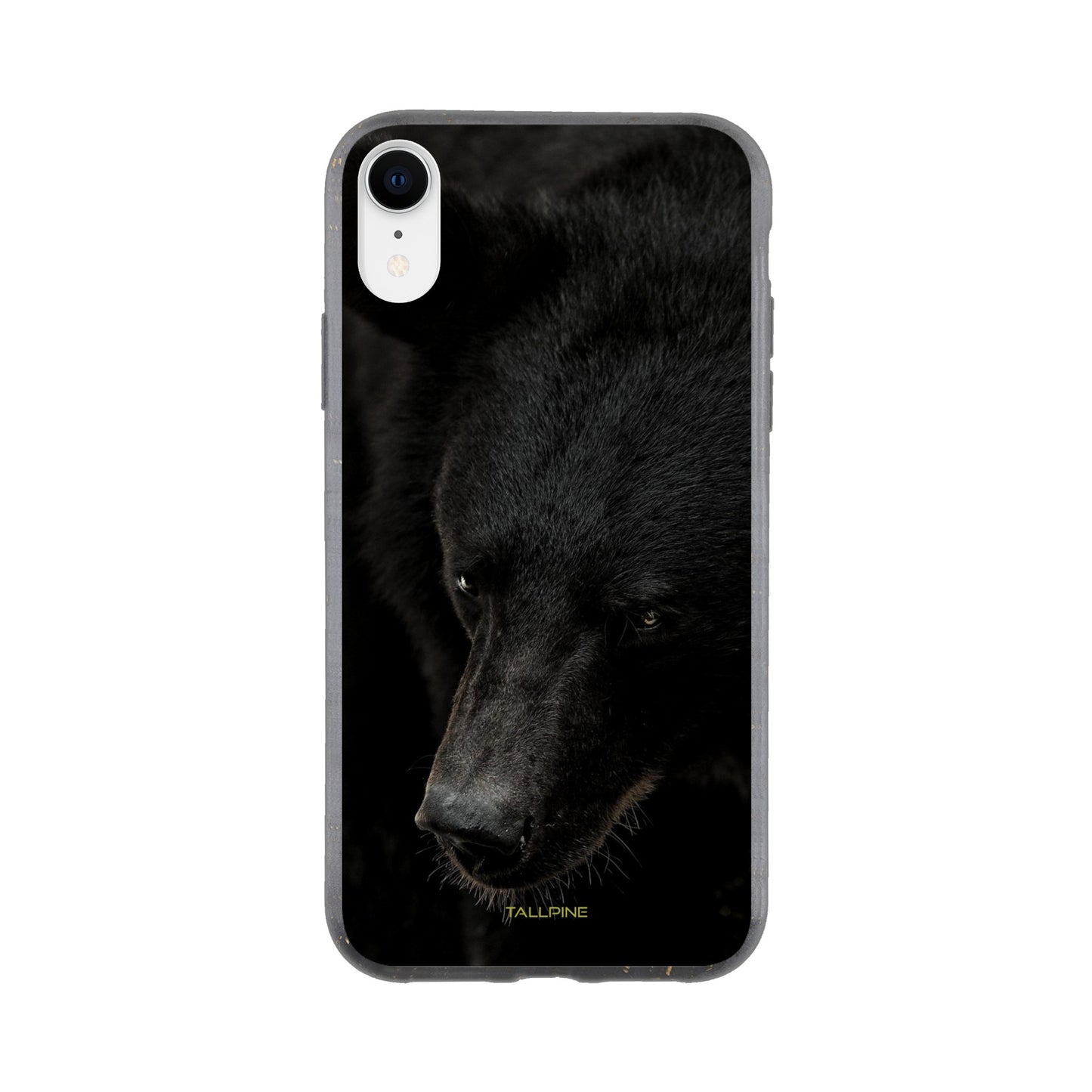 North American Black Bear - Eco Case iPhone XR - Tallpine Cases | Sustainable and Eco-Friendly Phone Cases - Animals Bear Black New