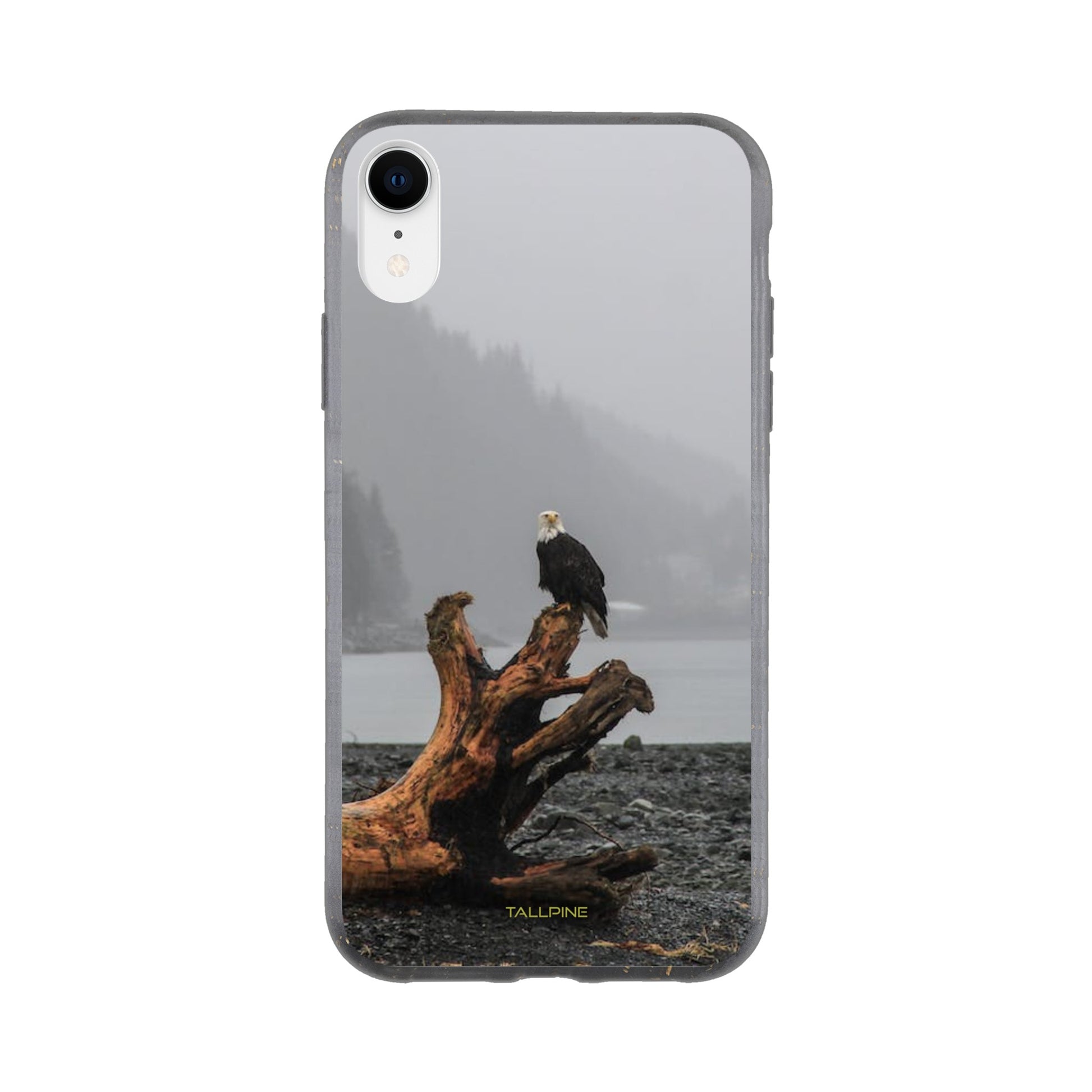 Perched Eagle - Eco Case iPhone XR - Tallpine Cases | Sustainable and Eco-Friendly Phone Cases - Animals Birds Gray New