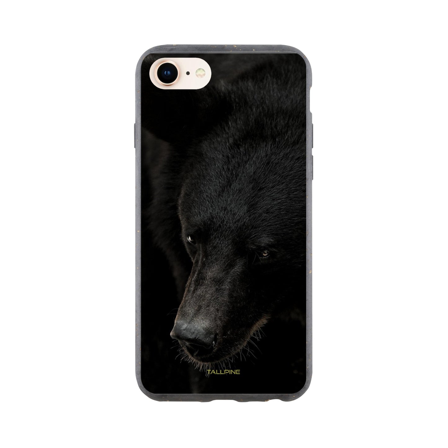 North American Black Bear - Eco Case iPhone SE - Tallpine Cases | Sustainable and Eco-Friendly Phone Cases - Animals Bear Black New