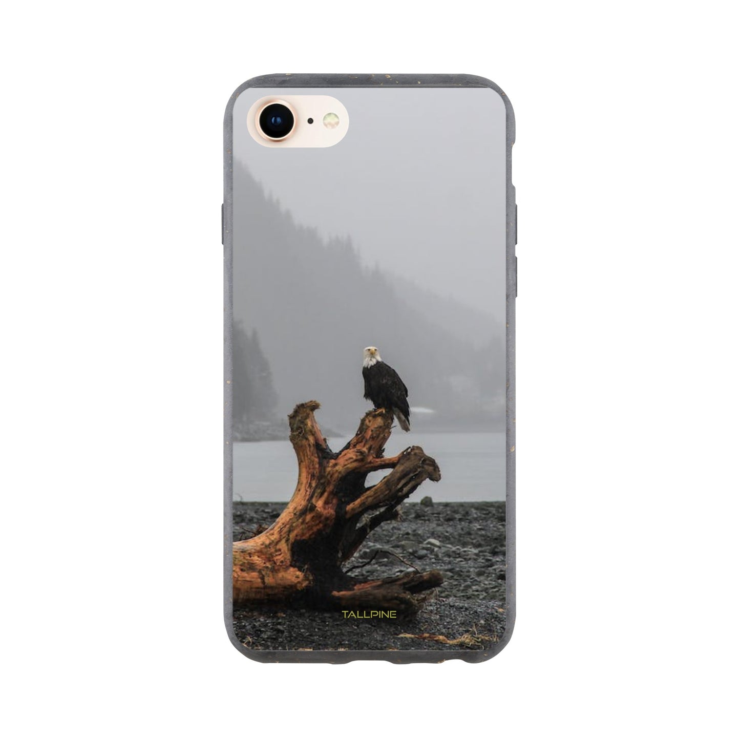 Perched Eagle - Eco Case iPhone SE - Tallpine Cases | Sustainable and Eco-Friendly Phone Cases - Animals Birds Gray New