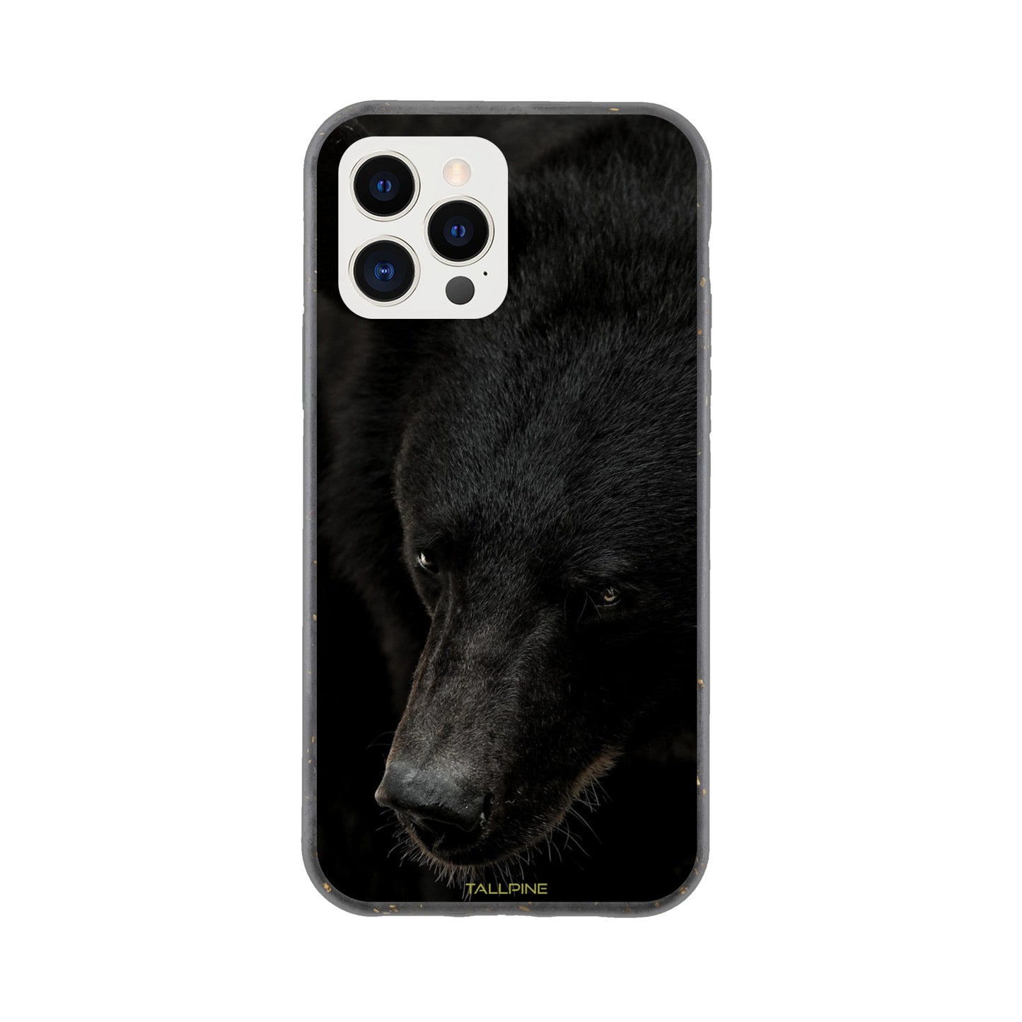 North American Black Bear - Eco Case iPhone 12 Pro - Tallpine Cases | Sustainable and Eco-Friendly Phone Cases - Animals Bear Black New