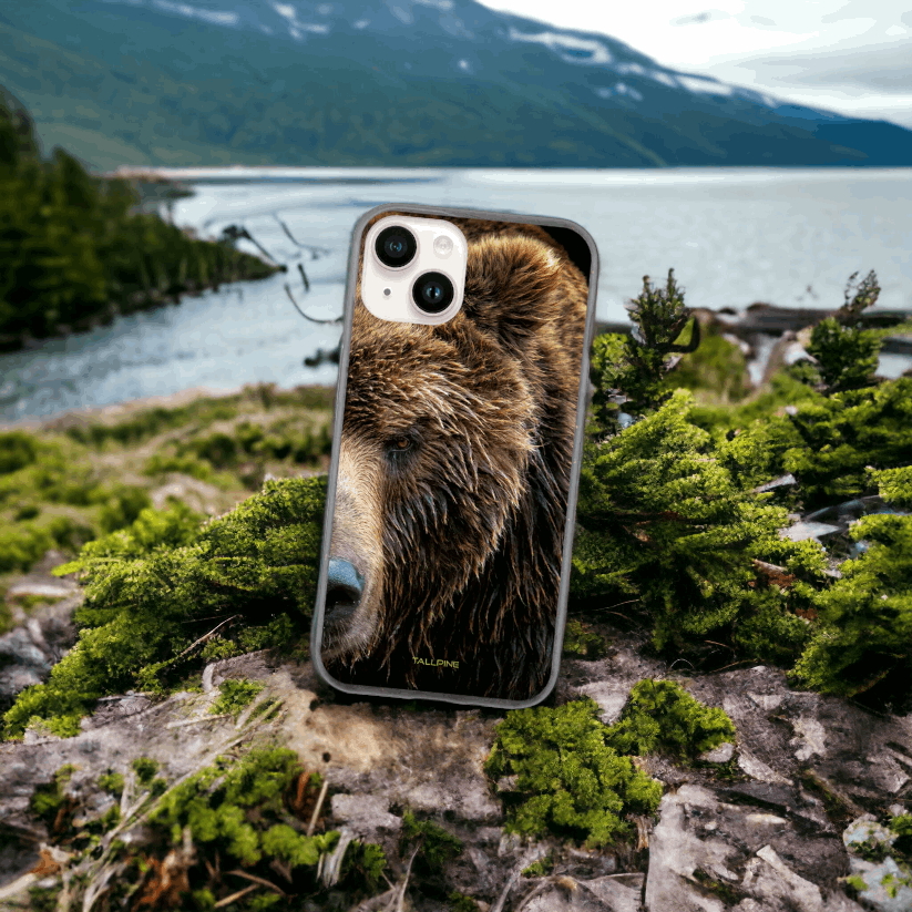 Brown Bear - Eco Case - Tallpine Cases | Sustainable and Eco-Friendly Phone Cases - Animals Bear