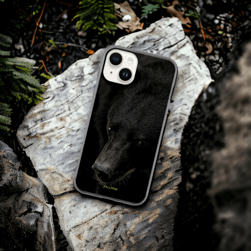 North American Black Bear - Eco Case - Tallpine Cases | Sustainable and Eco-Friendly Phone Cases - Animals Bear Black New