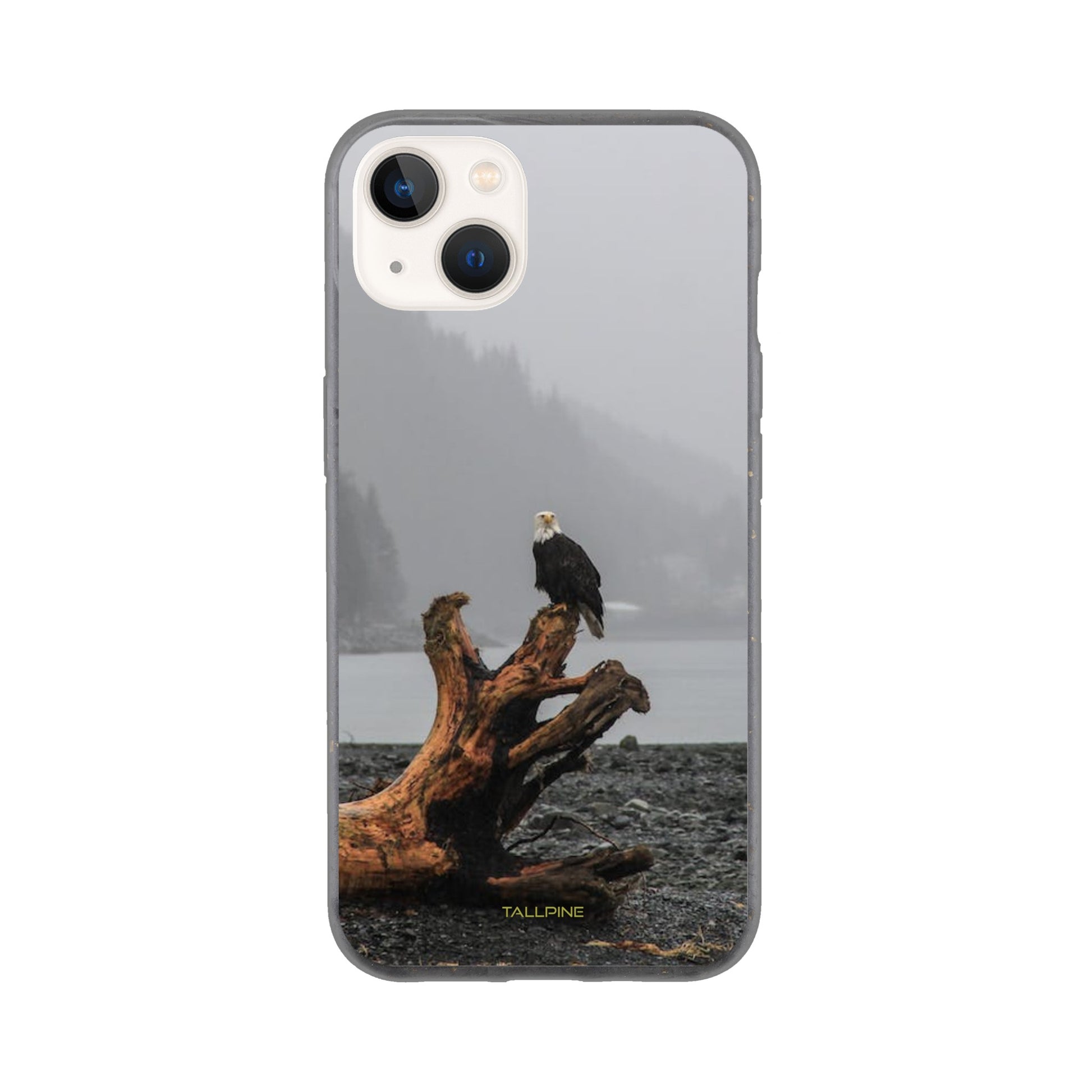 Perched Eagle - Eco Case iPhone 13 - Tallpine Cases | Sustainable and Eco-Friendly Phone Cases - Animals Birds Gray New