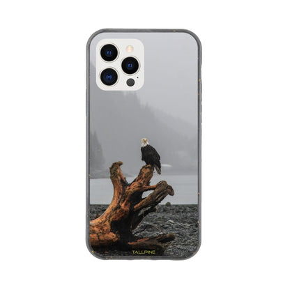 Perched Eagle - Eco Case iPhone 12 Pro - Tallpine Cases | Sustainable and Eco-Friendly Phone Cases - Animals Birds Gray New