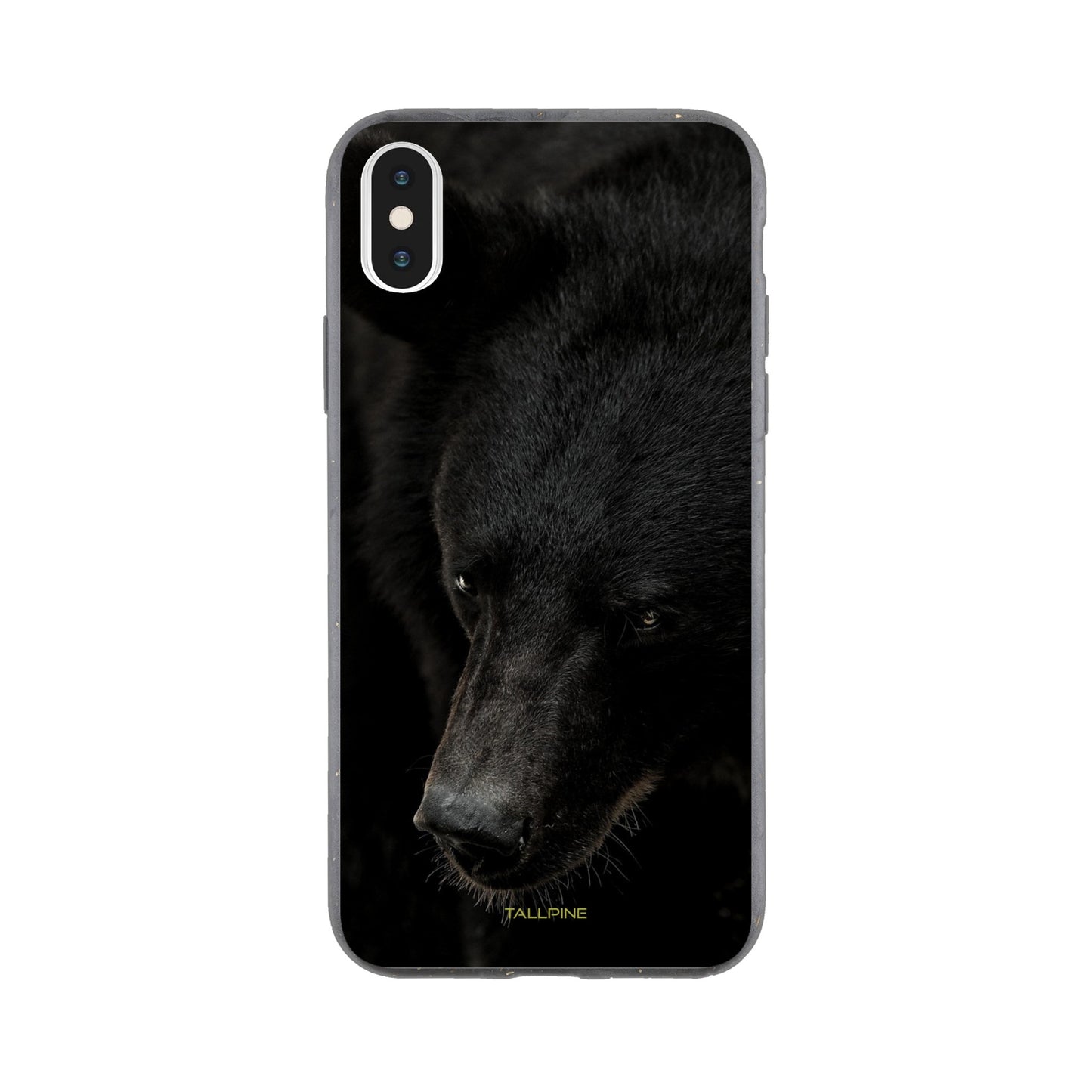 North American Black Bear - Eco Case iPhone XS - Tallpine Cases | Sustainable and Eco-Friendly Phone Cases - Animals Bear Black New