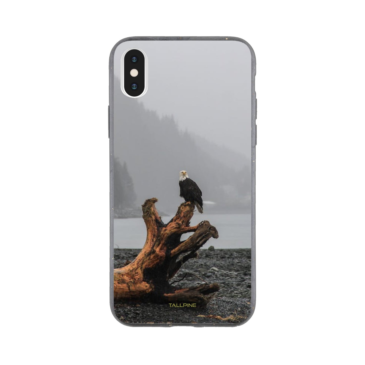 Perched Eagle - Eco Case iPhone XS - Tallpine Cases | Sustainable and Eco-Friendly Phone Cases - Animals Birds Gray New