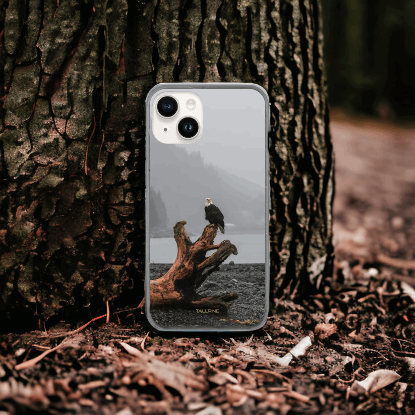 Perched Eagle - Eco Case - Tallpine Cases | Sustainable and Eco-Friendly Phone Cases - Animals Birds Gray New