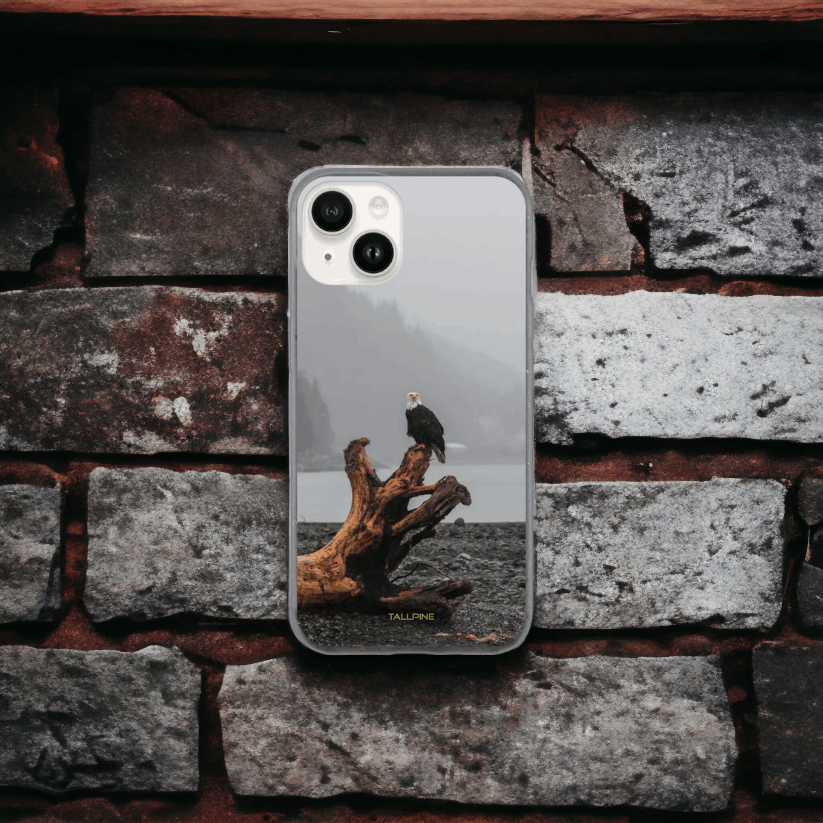 Perched Eagle - Eco Case - Tallpine Cases | Sustainable and Eco-Friendly Phone Cases - Animals Birds Gray New