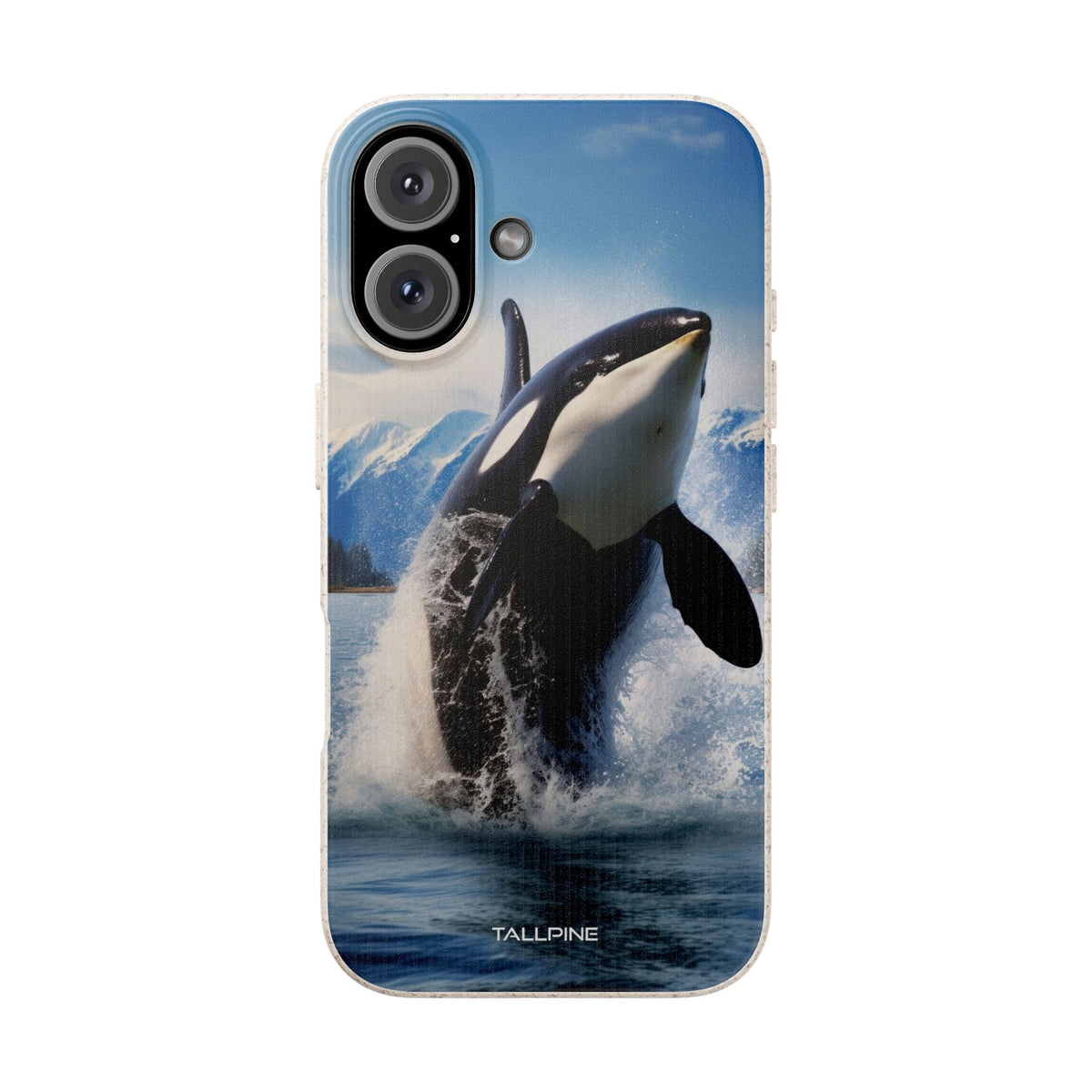 Orca Awakening - Eco Case - Tallpine Cases | Sustainable and Eco-Friendly - Animals Blue Orca Sealife